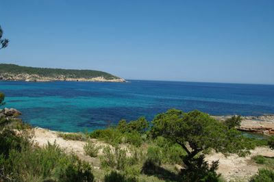 portinatx